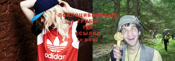 mdpv Волосово