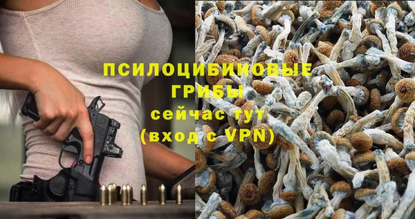 mdpv Волосово